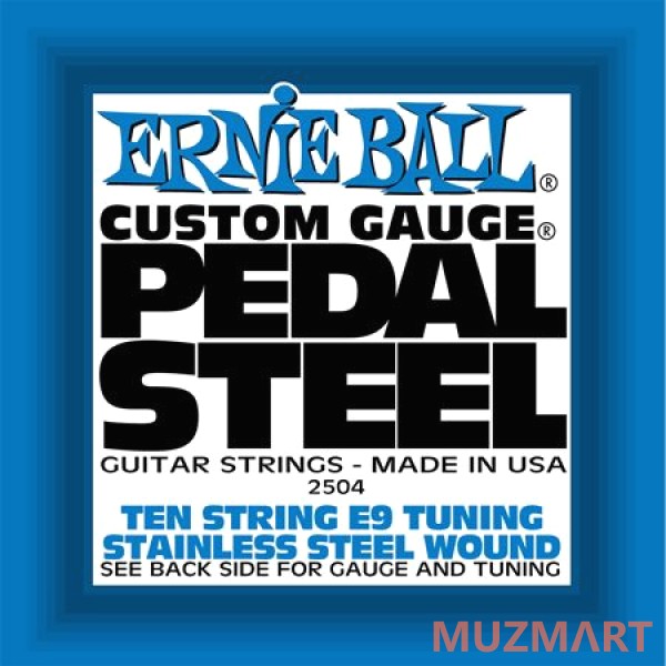 Ernie Ball 2504 струны для электрогитары (Набор из 10-ти штук)