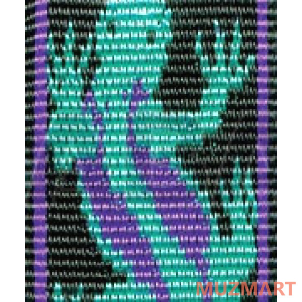 D'Addario 44PA001 Ремень для акустической гитары