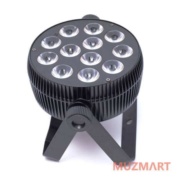 PL PAR 12-10 RGBWA+UV Светодиодный прожектор