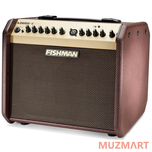 Fishman PRO-LBT-EU5 LoudBox Mini Bluetooth Комбоусилитель