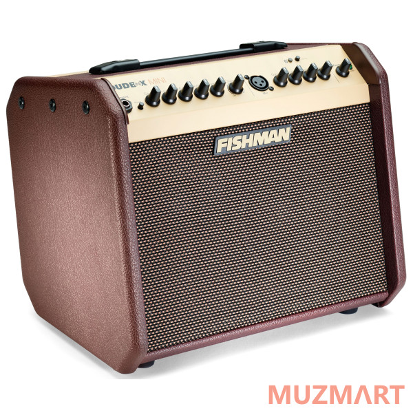 Fishman PRO-LBT-EU5 LoudBox Mini Bluetooth Комбоусилитель