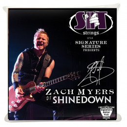 SIT Strings SS-S1150ZM Струны для электрогитары