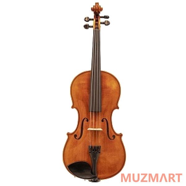 Strunal 920A-1/2 Ravena Скрипка студенческая 1/2