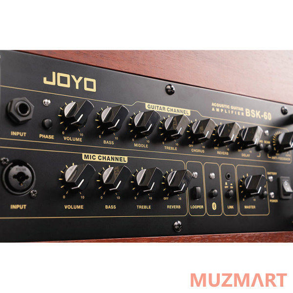 Joyo BSK-60 Комбоусилитель для акустической гитары