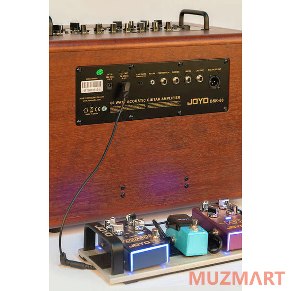 Joyo BSK-60 Комбоусилитель для акустической гитары