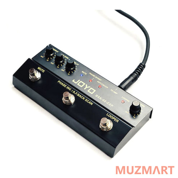 Joyo BSK-60 Комбоусилитель для акустической гитары
