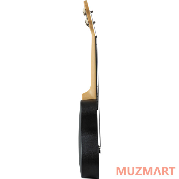 Terris PLUC 23 BK Укулеле концерт