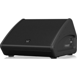 Turbosound TFM122M Сценический монитор