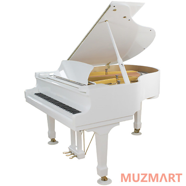 Becker CBGP-150PW-2 Рояль