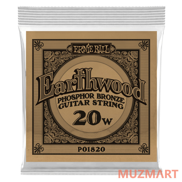 Ernie Ball P01820 Одиночная струна для акустической гитары