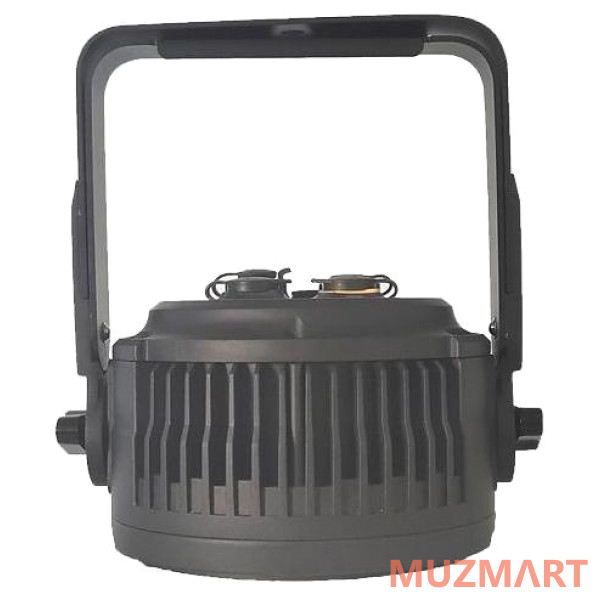 Stage4 REPAR 7x10F IP (8') Светодиодный всепогодный светильник