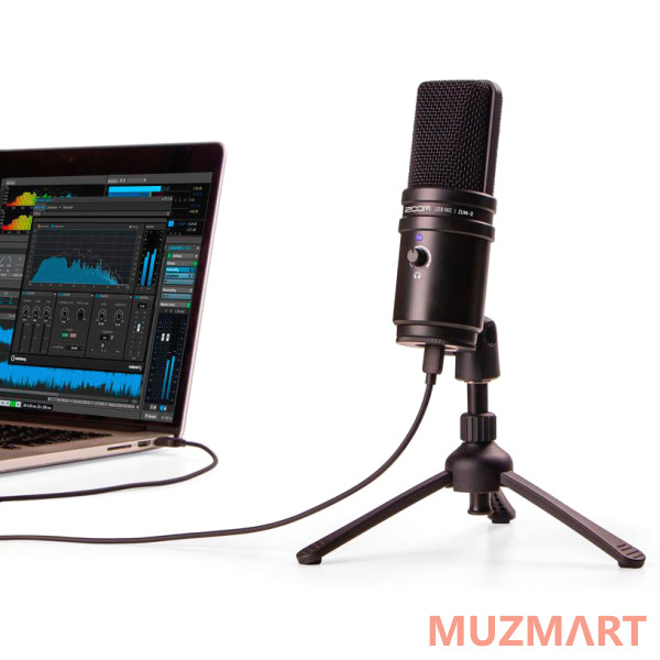 Zoom ZUM-2 Электретный конденсаторный USB микрофон