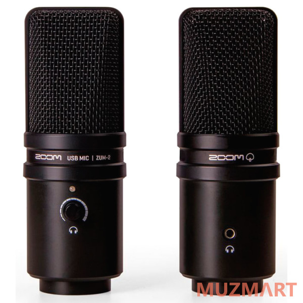 Zoom ZUM-2 Электретный конденсаторный USB микрофон