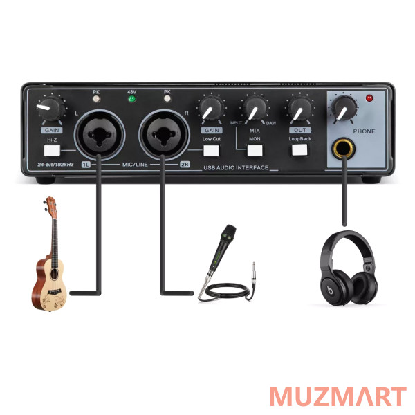 Recordio GAX-MD22 Аудиоинтерфейс
