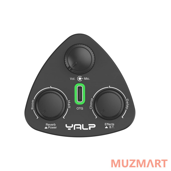 X2 DOUBLE Y10 Звукосниматель трансакустический