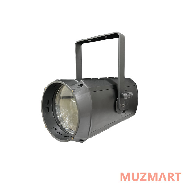 Psl Lighting LED COB PAR zoom Световой прибор PAR