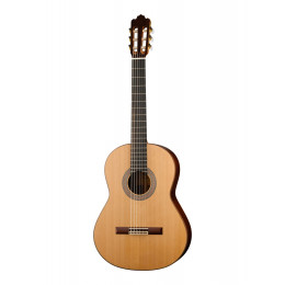 Prodipe JMFSOLOIST700 Классическая гитара Soloist 700 4/4