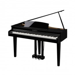 Kawai DG30 EP Цифровой рояль