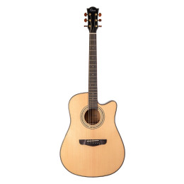 Omni D-890S Акустическая гитара с чехлом