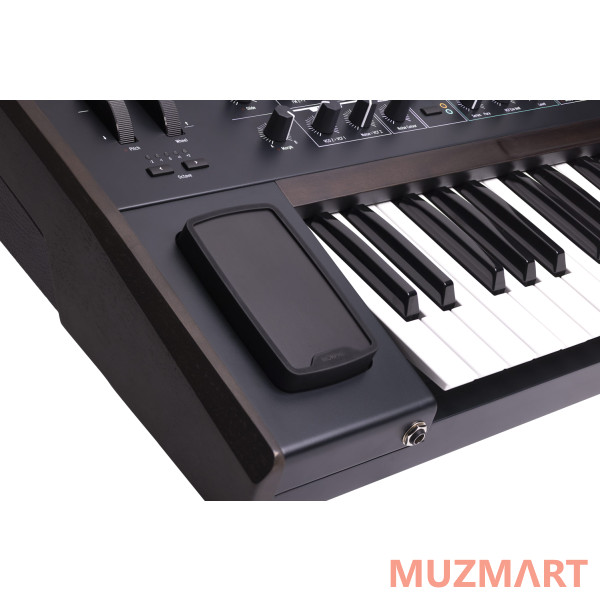 Arturia PolyBrute Noir Синтезатор