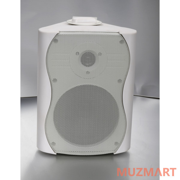 SVS Audiotechnik WS-20 White Громкоговоритель настенный (пара)