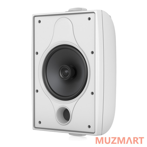 Tannoy DVS 6T WH Всепогодная пассивная акустическая система
