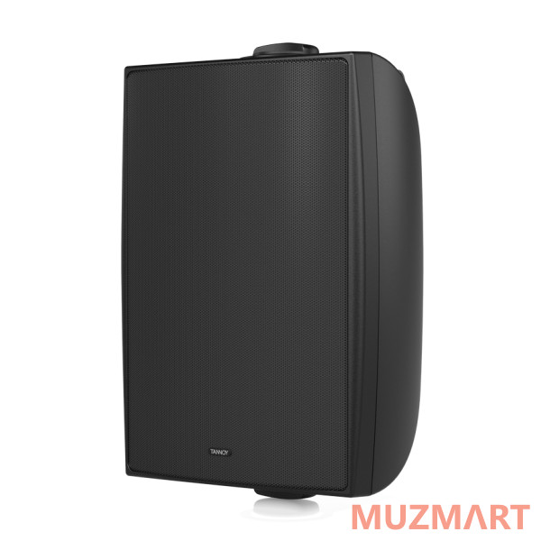 Tannoy DVS 6 Всепогодная пассивная акустическая система