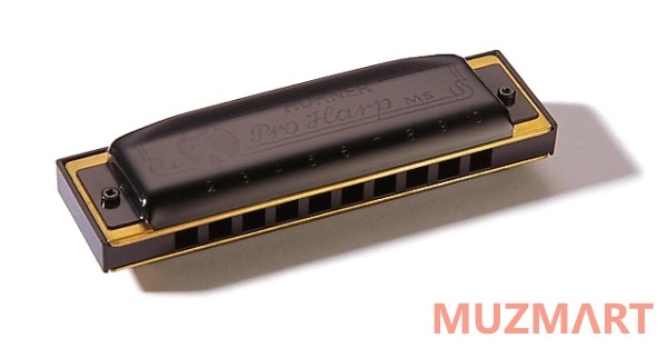 Hohner Pro Harp 562/20 MS G (M564086X) Губная гармоника