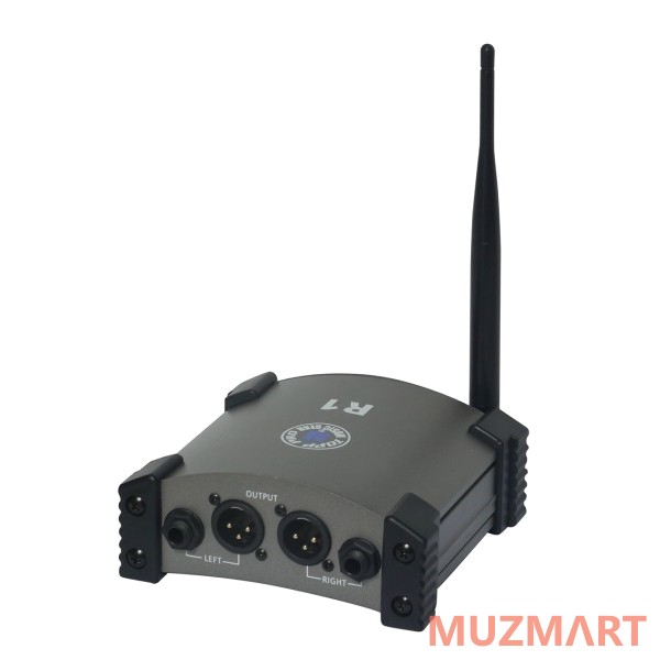Topp Pro R1 WiFi приемник