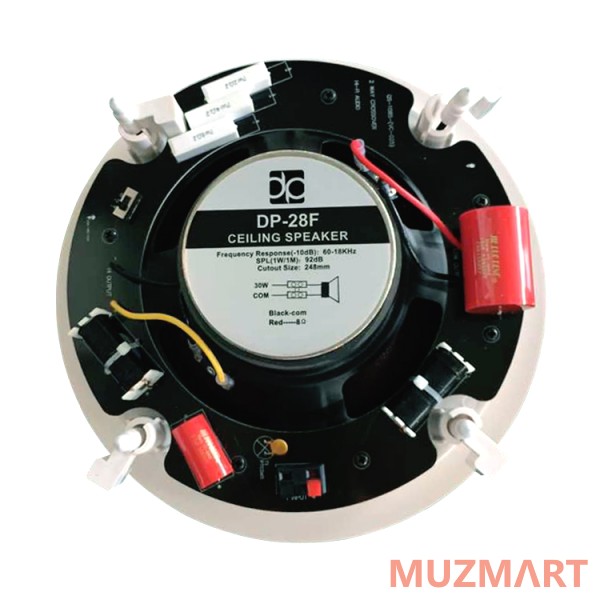 Direct Power Technology DP-28F Потолочная акустическая система