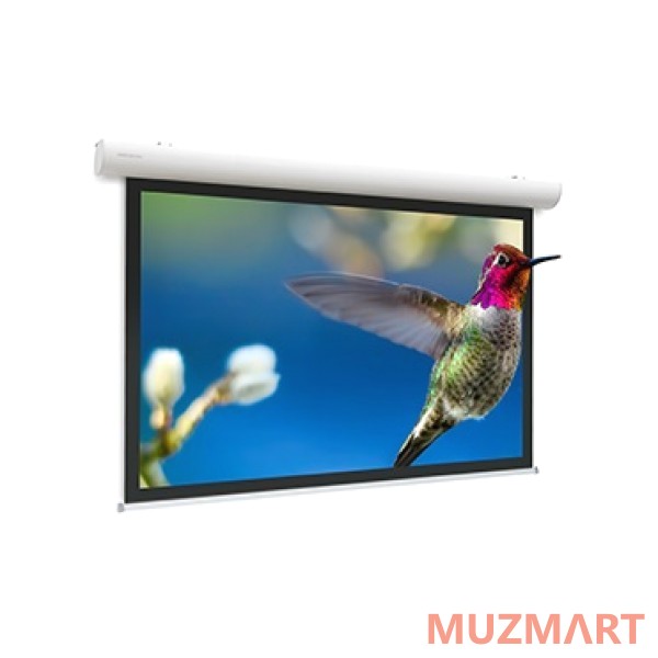 Projecta Elpro Concept [10101580] Проекционный экран с электроприводом 218x380 см