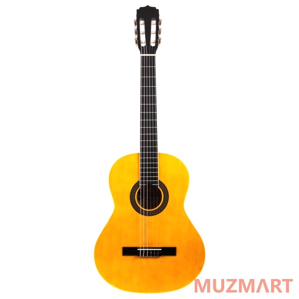 Aria FIESTA FST-200-53 Гитара классическая 1/2