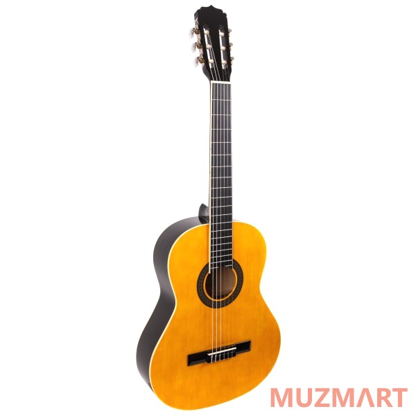 Aria FIESTA FST-200-53 Гитара классическая 1/2