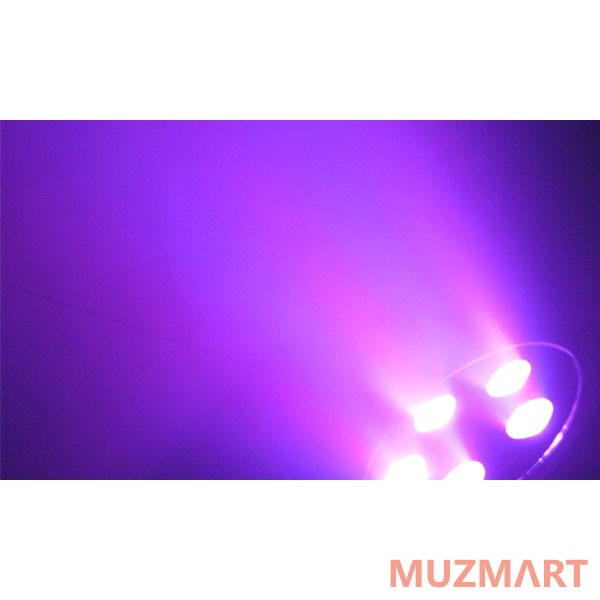 Euro DJ LED PAR-512 RGBWAU Светодиодный прожектор