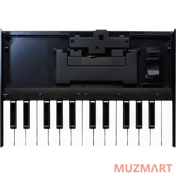 Roland K-25M Клавиатура 25-клавишная