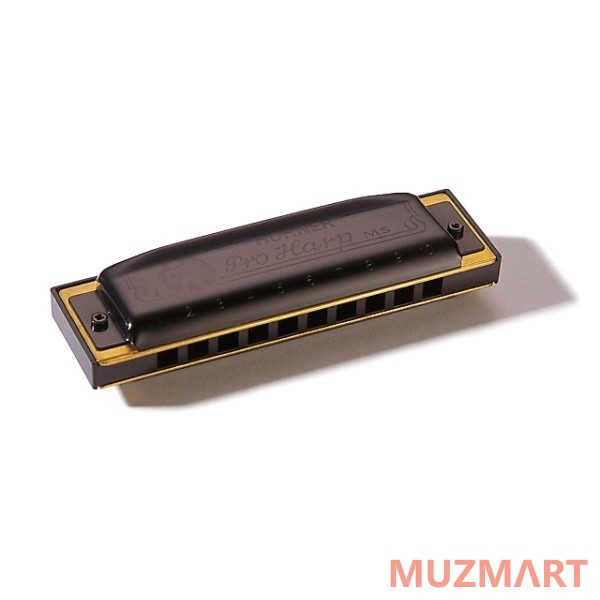 Hohner Pro Harp 562/20 MS D (M564036X) Диатоническая губная гармоника