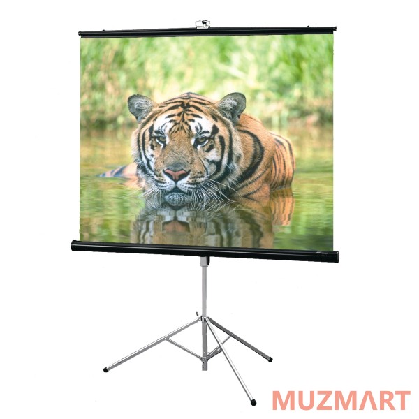 Draper Consul NTSC (3:4) 183/72" (6') 108*144 XT1000E (MW) Мобильный экран