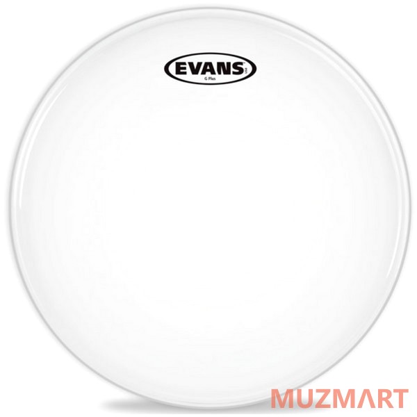 Evans B10GPW Пластик